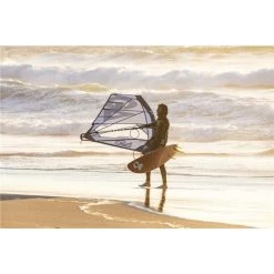 Planche Windsurf TABOU Da Curve 2023 -Windsurf Soldes I Grande 113342 planche windsurf tabou da curve 2023.net